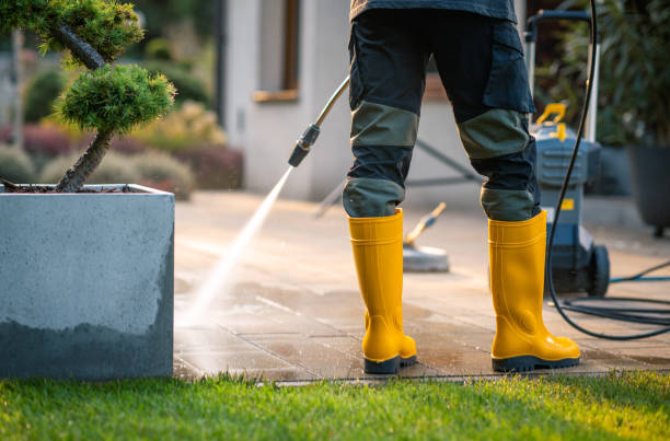 Best Seasonal Cleaning Services in Cresco, IA